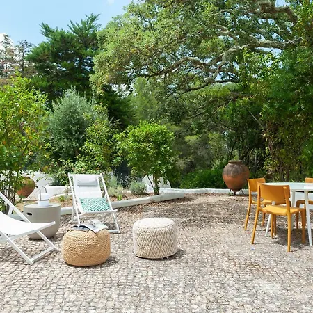 民宿 The Oak Tree Manor House At Quinta Da Arrabida 阿泽陶