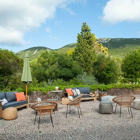 The Oak Tree Manor House At Quinta Da Arrabida 阿泽陶