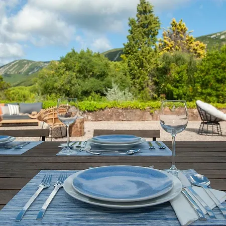 The Oak Tree Manor House At Quinta Da Arrabida 阿泽陶
