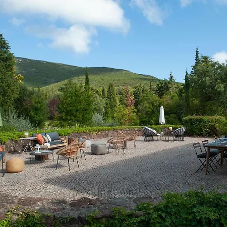 The Oak Tree Manor House At Quinta Da Arrabida 民宿 *