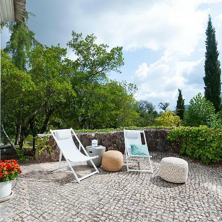 The Oak Tree Manor House At Quinta Da Arrabida 民宿 *