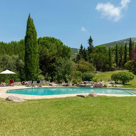 The Oak Tree Manor House At Quinta Da Arrabida 民宿 *
