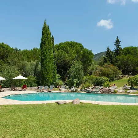民宿 The Oak Tree Manor House At Quinta Da Arrabida