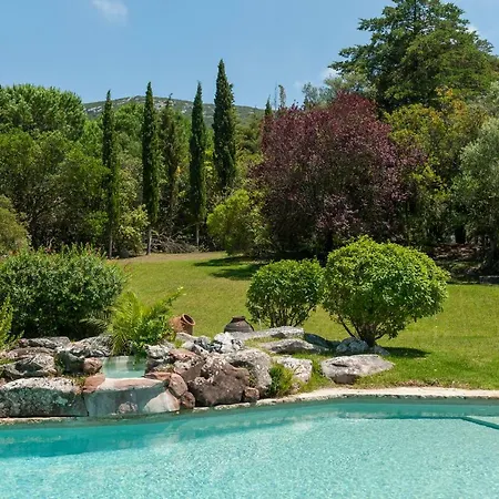 The Oak Tree Manor House At Quinta Da Arrabida 民宿 阿泽陶