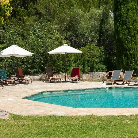 The Oak Tree Manor House At Quinta Da Arrabida 阿泽陶